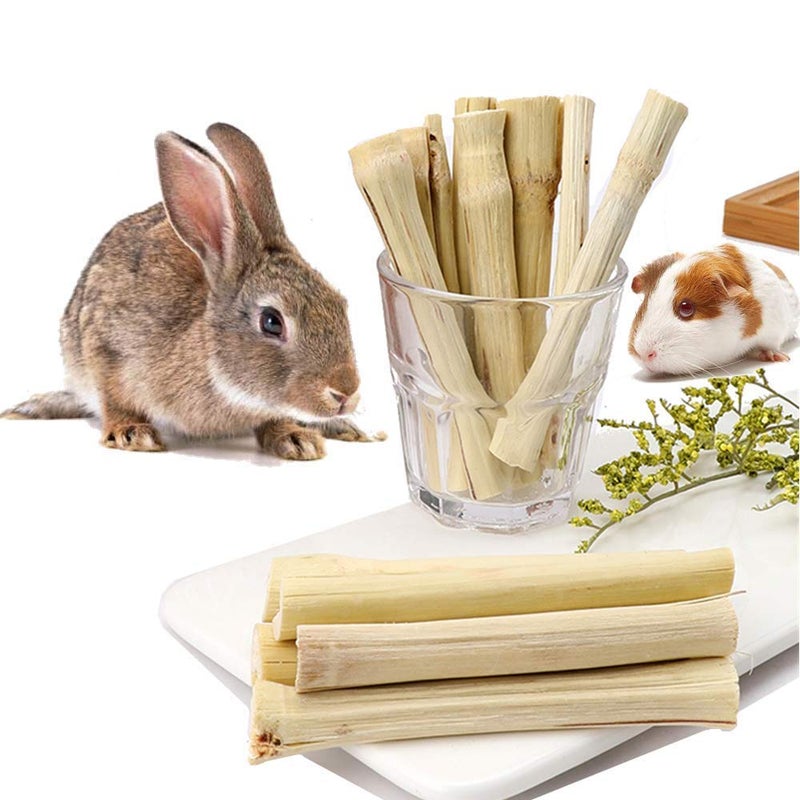 Dbeans Flourithing 300g/10.5oz Bamboo Sticks for Rabbits - Rabbit Chew Toys for Teeth with Rabbit Treats Included - Durable Chew Sticks for Hours of Fun - Image 1